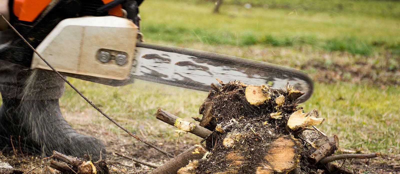 Quality Minded, Professionally Staffed.