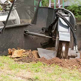 Stump Grinding 